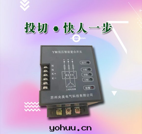 YM智能投切(qiè)開(kāi)關(guān)