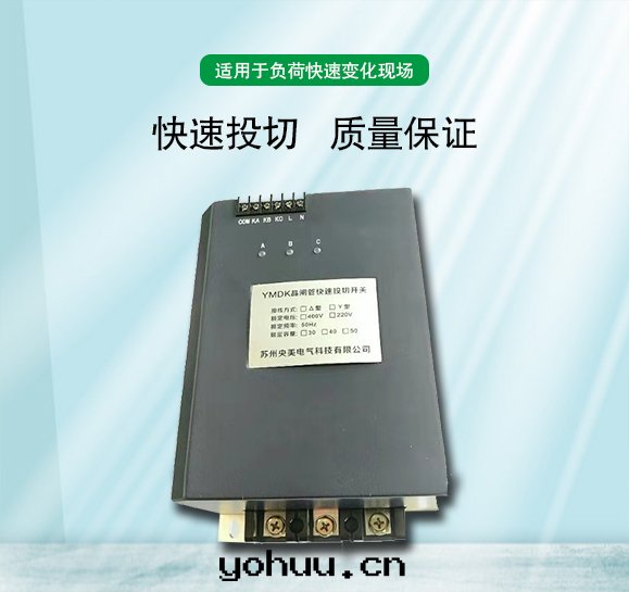 晶闸管(guǎn)快(kuài)速投切(qiè)開(kāi)關(guān)